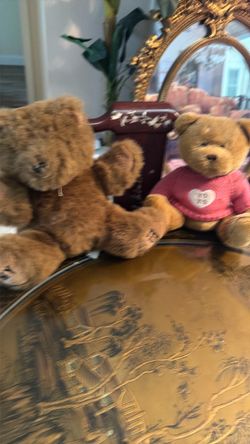 Bears