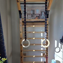 Gladiator Wall: Swedish Ladder