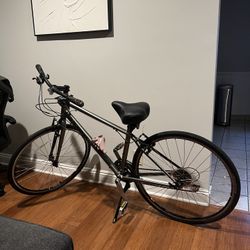 trek women's bike 