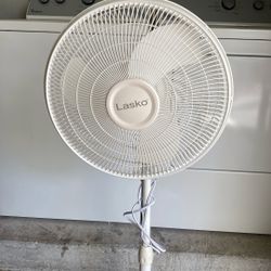 Standing Fan
