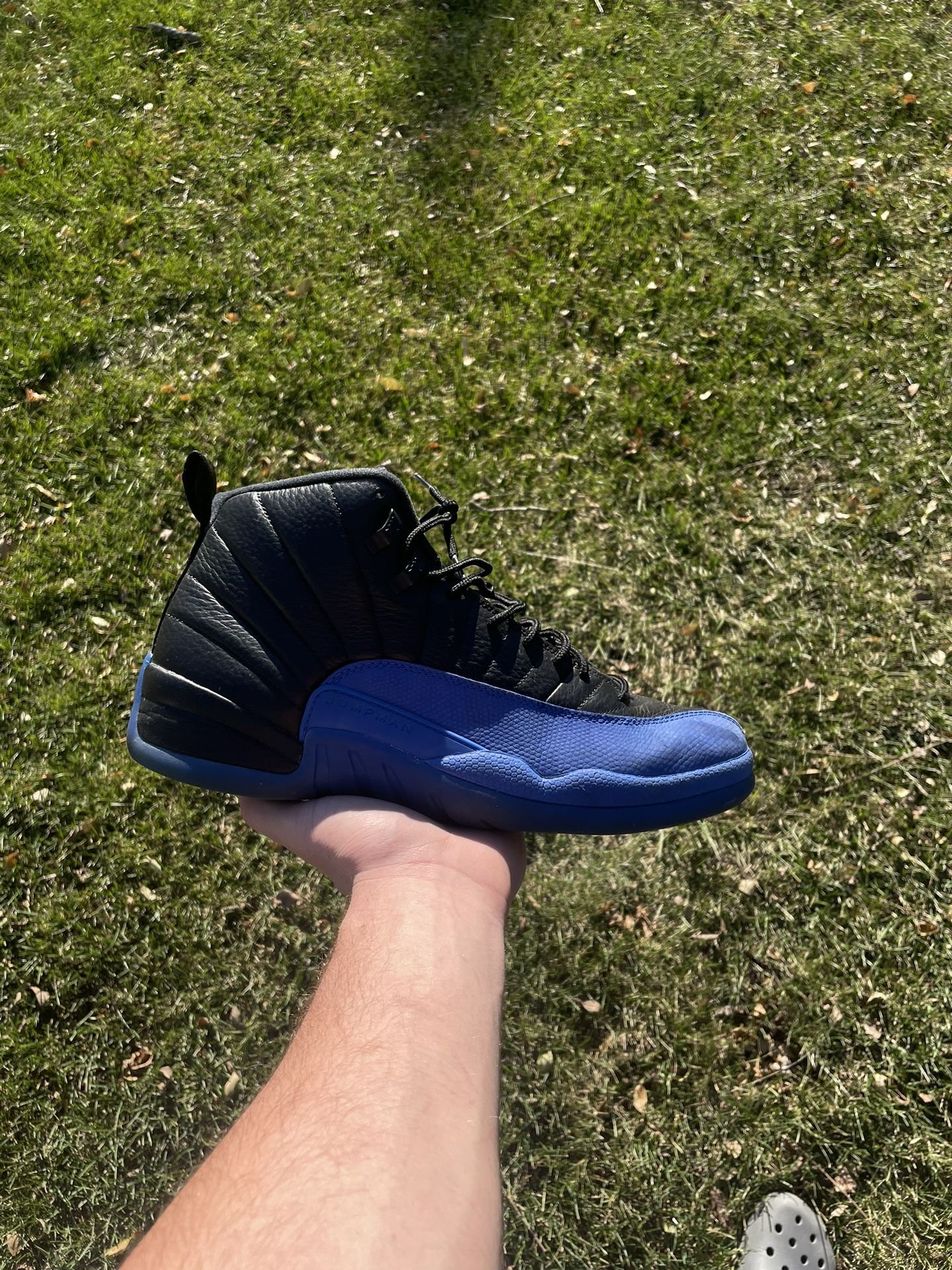 Jordan 12