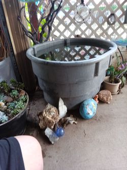 70 gallon fish tub