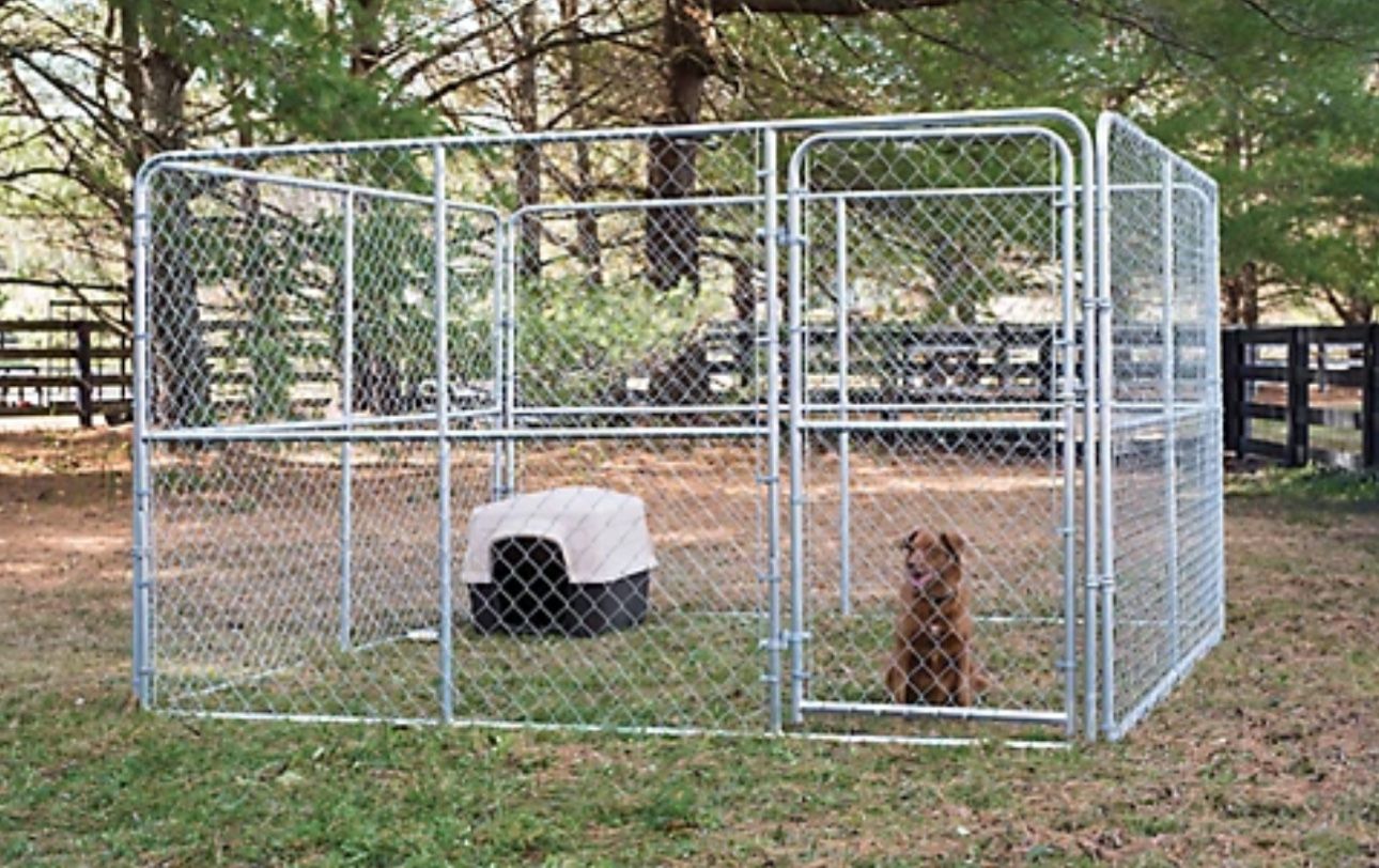 BIG DoG Kennel