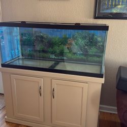 70 Gallon Aquarium Fish Tank