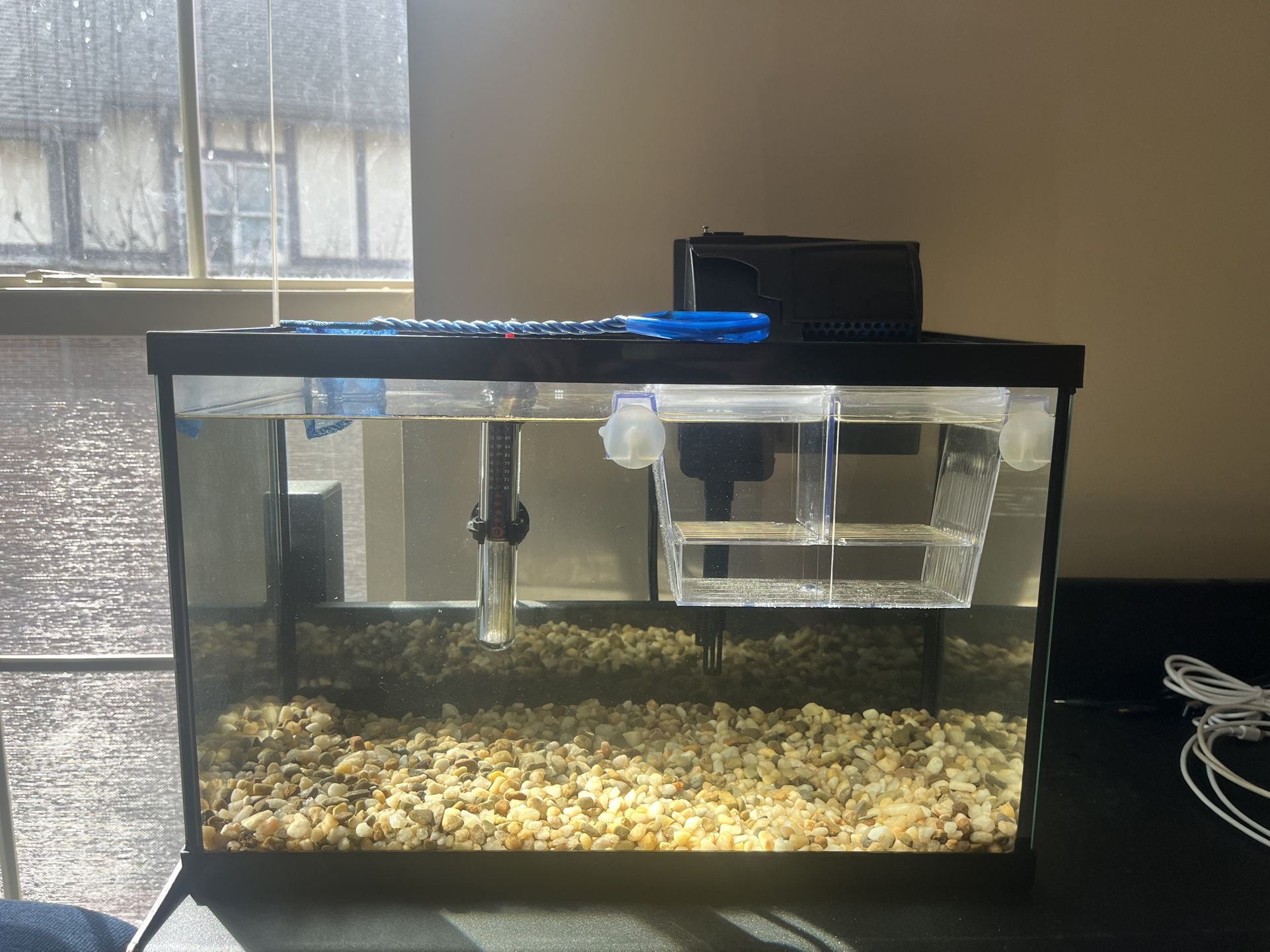 Aquarium + Filter + Heater + Fry Box