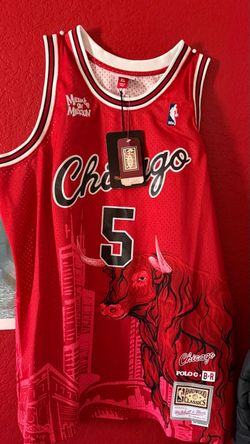 Mitchell & Ness Chicago Bulls Polo G Jersey #5