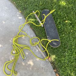 Skateboard Swing For Tree