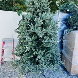9 Foot Christmas Tree Light. Don’t Work But Can Put The New Micro Ligths Three Value $679 Plus Tax Here This Only $200  This Is Quality Tree Take Look