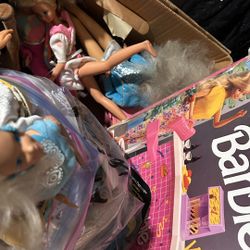 Barbie Lot - Box Full of  BARBIES AND KENS