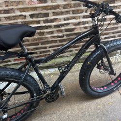 Fat Tire Bike
