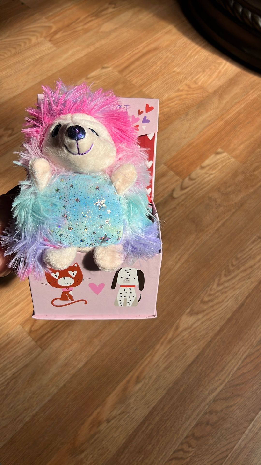 Rainbow Hedgehog Plush Toy