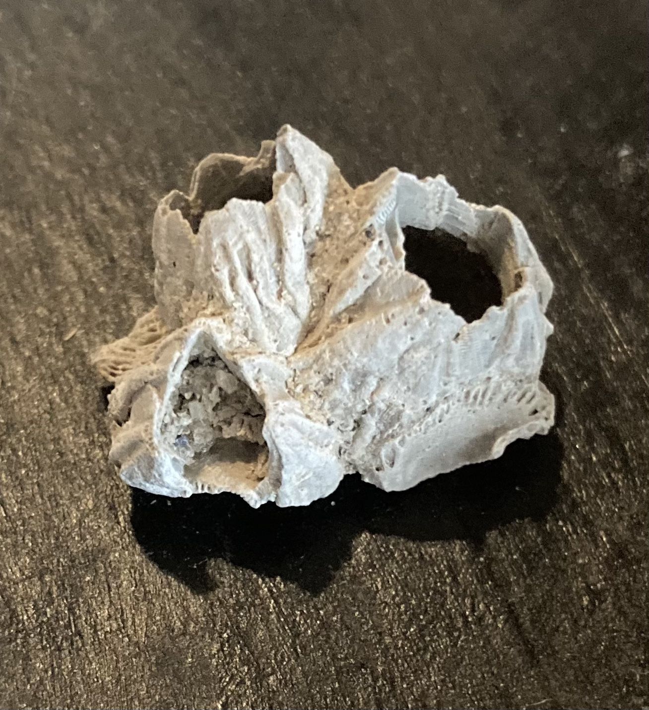 Crystallized/fossilized Varieties