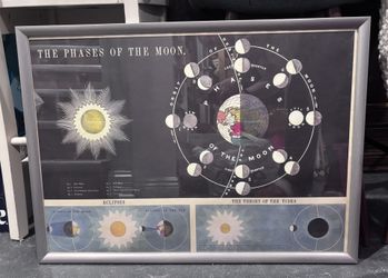Framed Poster - 20 3/4” X 28 3/4” - Phases Of The Moon