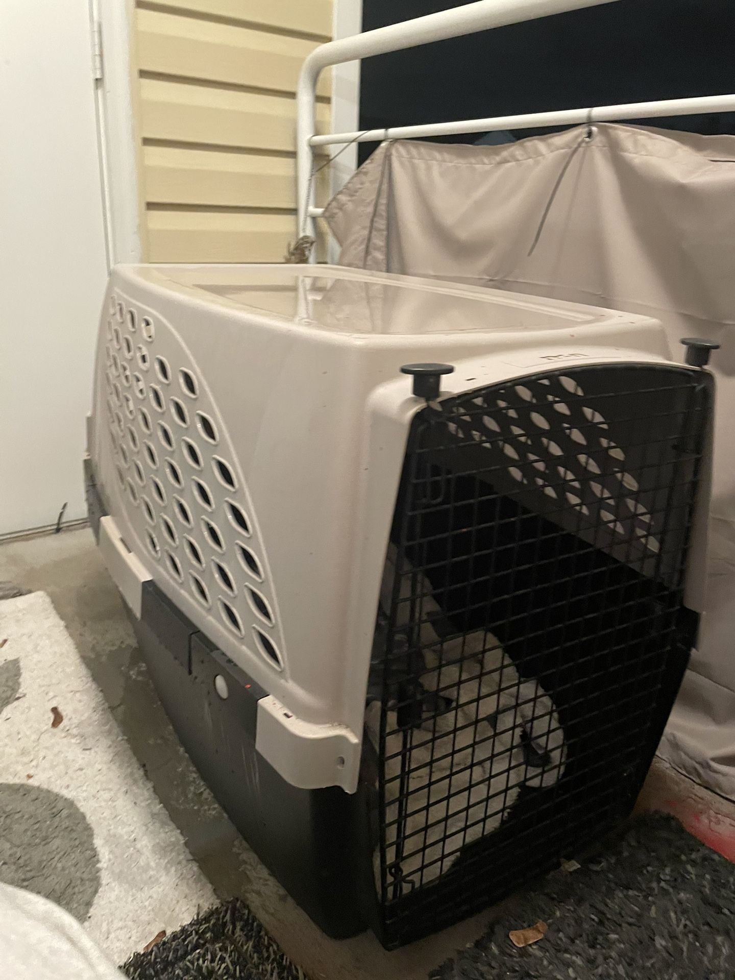 large dog kennel
