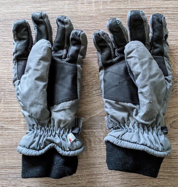 Alpine Men's Waterproof Ski/Snowboard Gloves - XL
