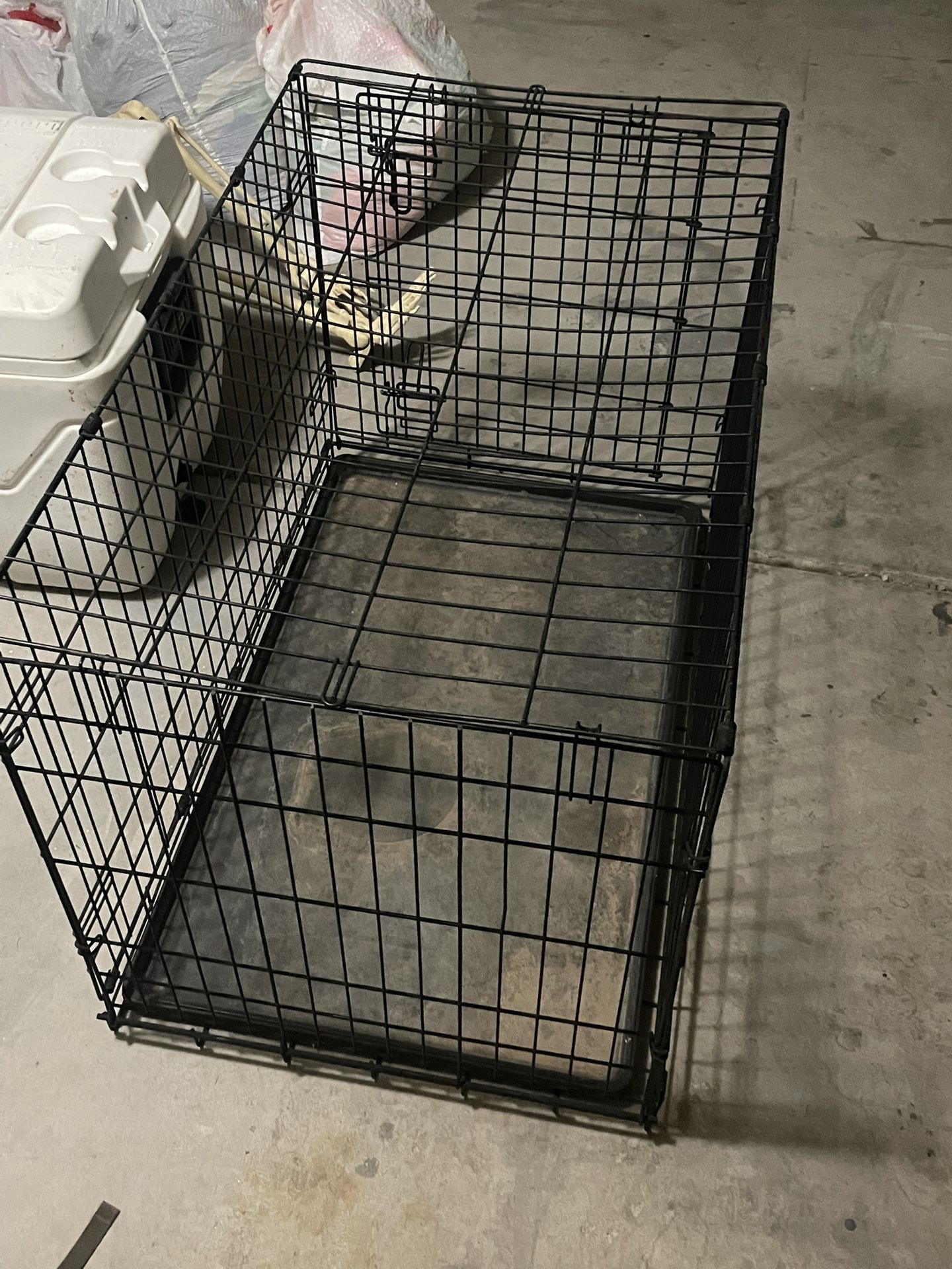 Kennel
