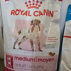 Dog food