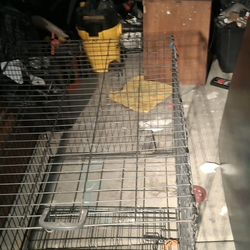 Dog Crate