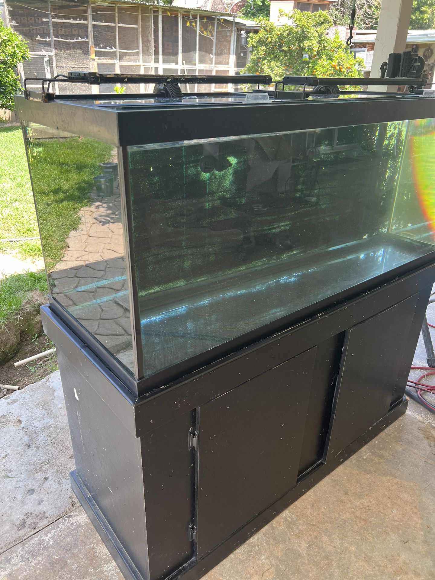 Fish Tank /Aquarium
