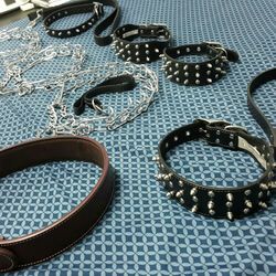 NEW DOG COLLARS