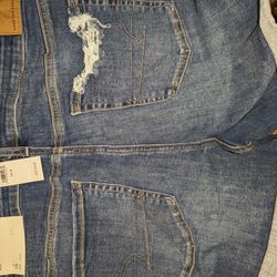 American eagle Shorts Brand New , Have Never Been Worn 