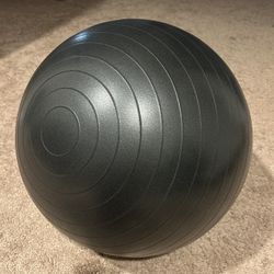 Exercise Ball