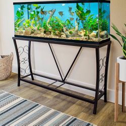 55gal fish bowl and stand