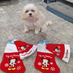 CHRISTMAS DECORATION  $6 EACH 