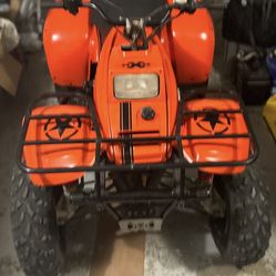 1999 Polaris TrailBoss 250 2 Stroke