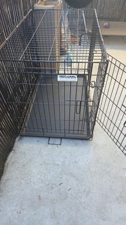 Dog Kennel