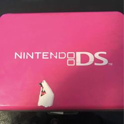 Nintendo DS Case