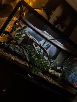 Reptile Tank 3D Printed