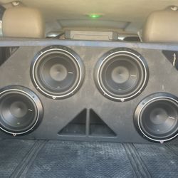 Rockford Fosgate P2 10 inch woofer in ported box