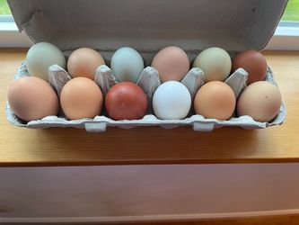 Farm Fresh Rainbow Eggs