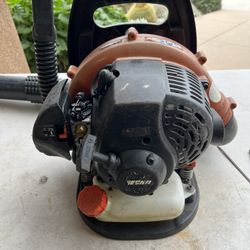 Echo Gas Blower