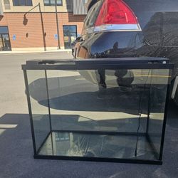 40 Gallon Fish Tank