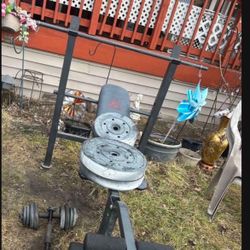 Weights, Bench , Bar Everything In Pictures