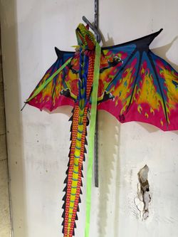 Kite