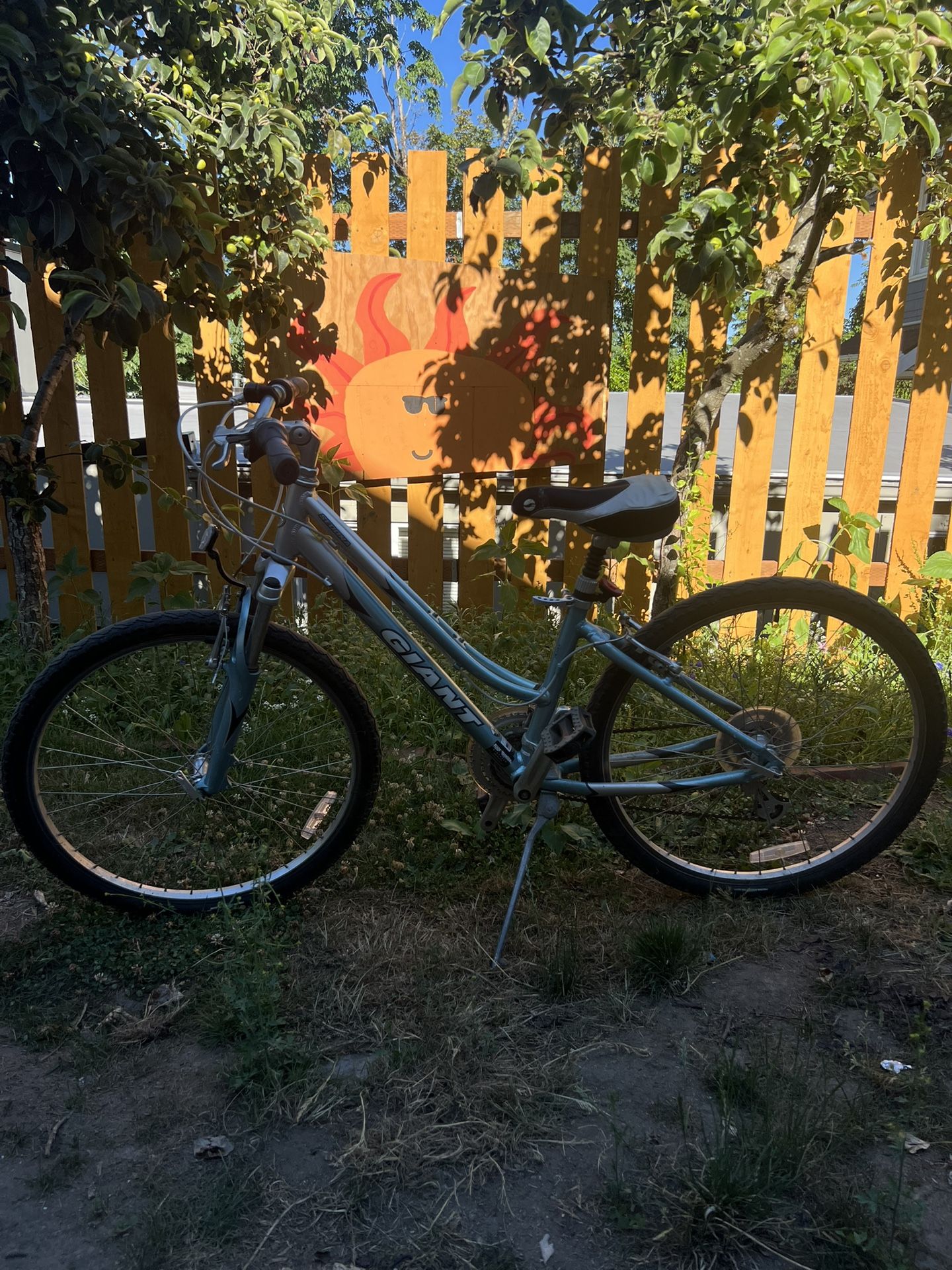 Giant Sedona Womens / Kids Bike