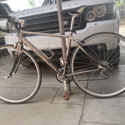 K2 T Nine Whirlwind Women’s Bicycle