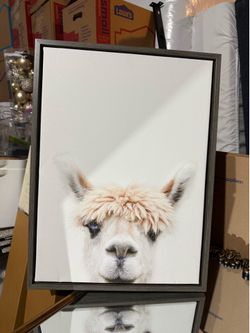 Llama canvas print