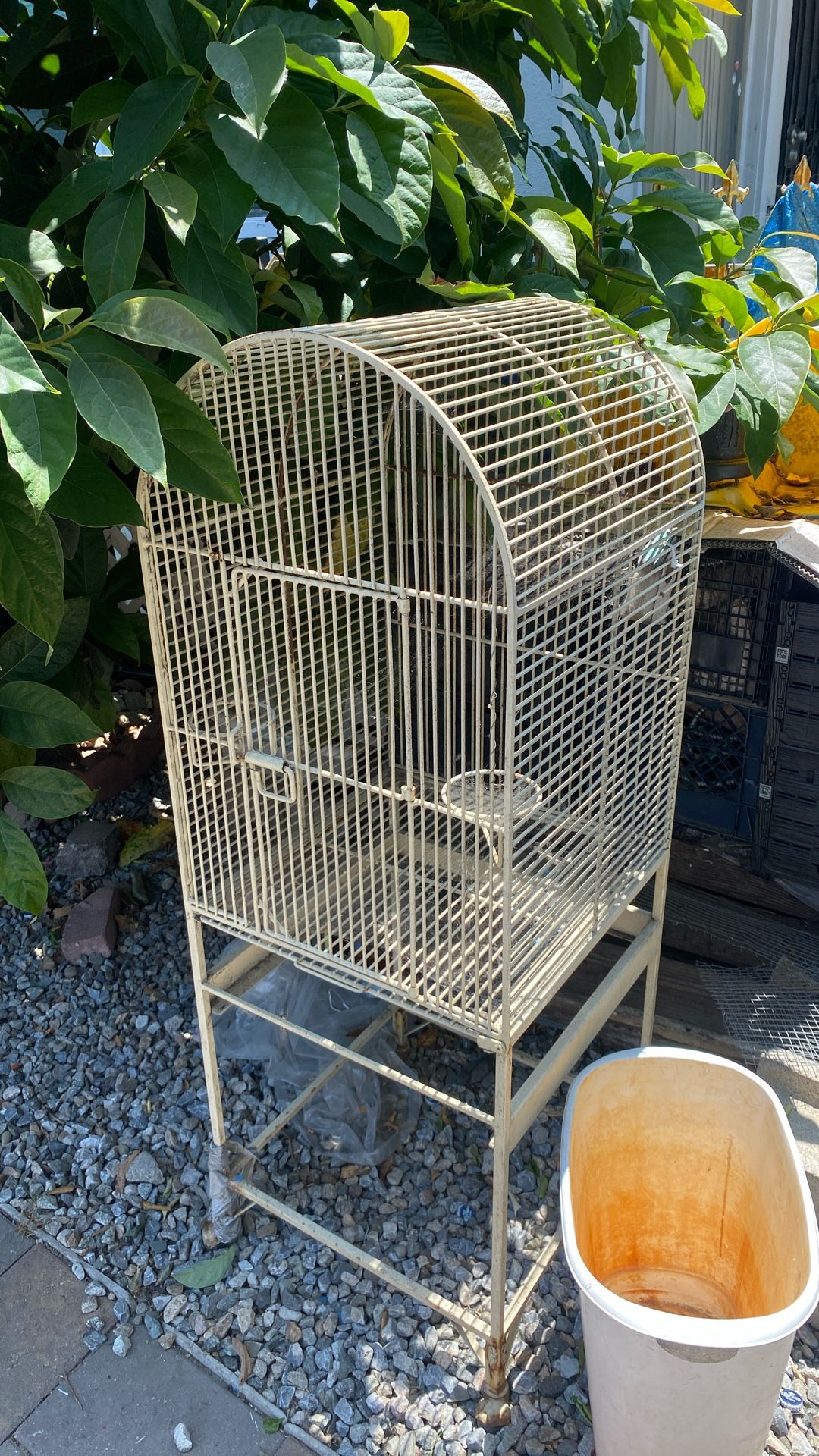 Bird Cage