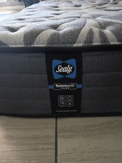 Sealy Mattress