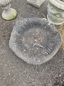 Bird Bath Top/Bowl