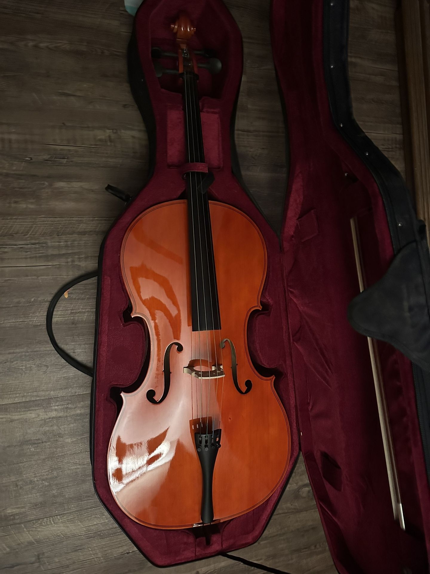 cello cecilio cco 100