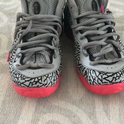 Elephant Print Foamposite Size 10 