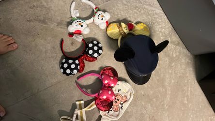 Disney ear/bag