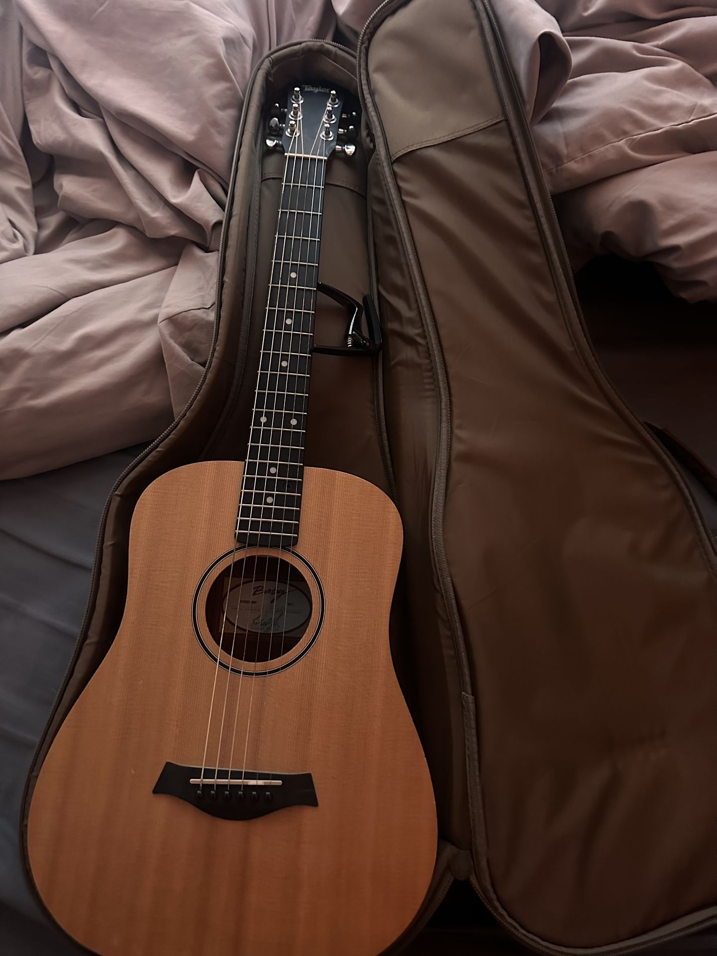 Quality Taylor Guitar Baby (best Offer)