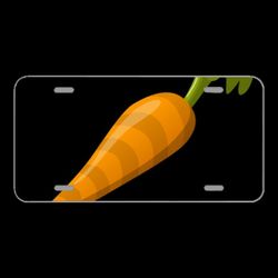 License Plate Novelty Car Front Carrot Vegetable Food Fresh Healthy