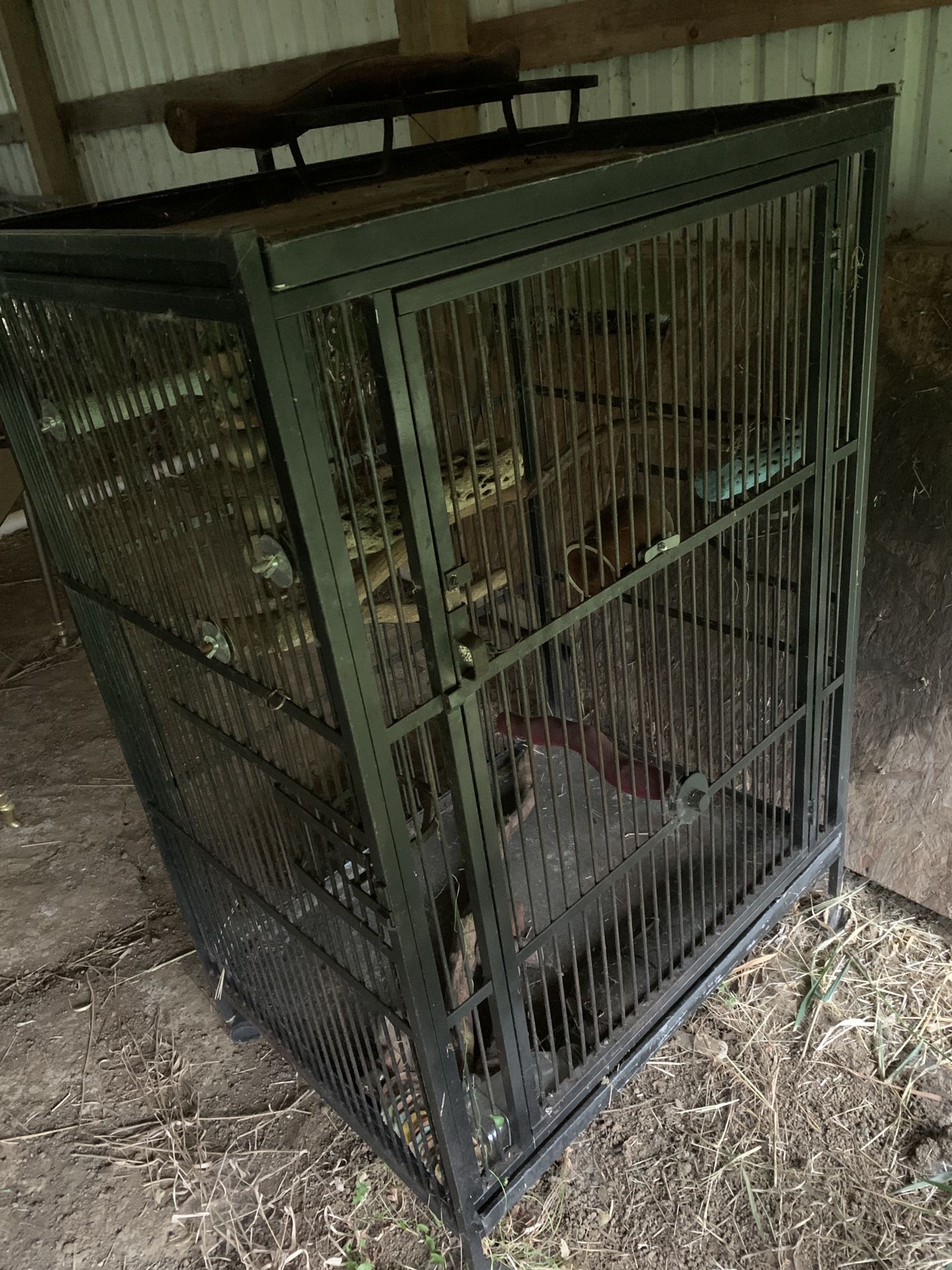 Parrot Cage